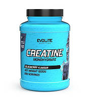 Креатин Evolite Nutrition Creatine Monohydrate, 1 кг Черника CN14842-6 VH