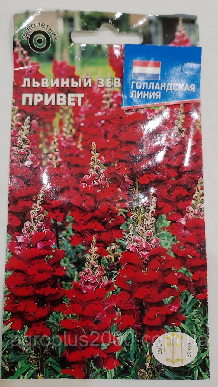Насіння Левовий зів Привіт 0,1 грама