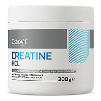 Креатин OstroVit Creatine HCL, 300 грамм Черная смородина-вишня