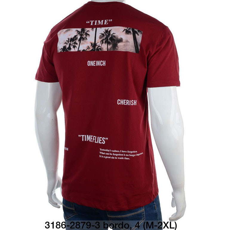 Червона чоловіча футболка з малюнком спереду і ззаду (Норма) Розміри: 46,48,50,52 (18046-2)