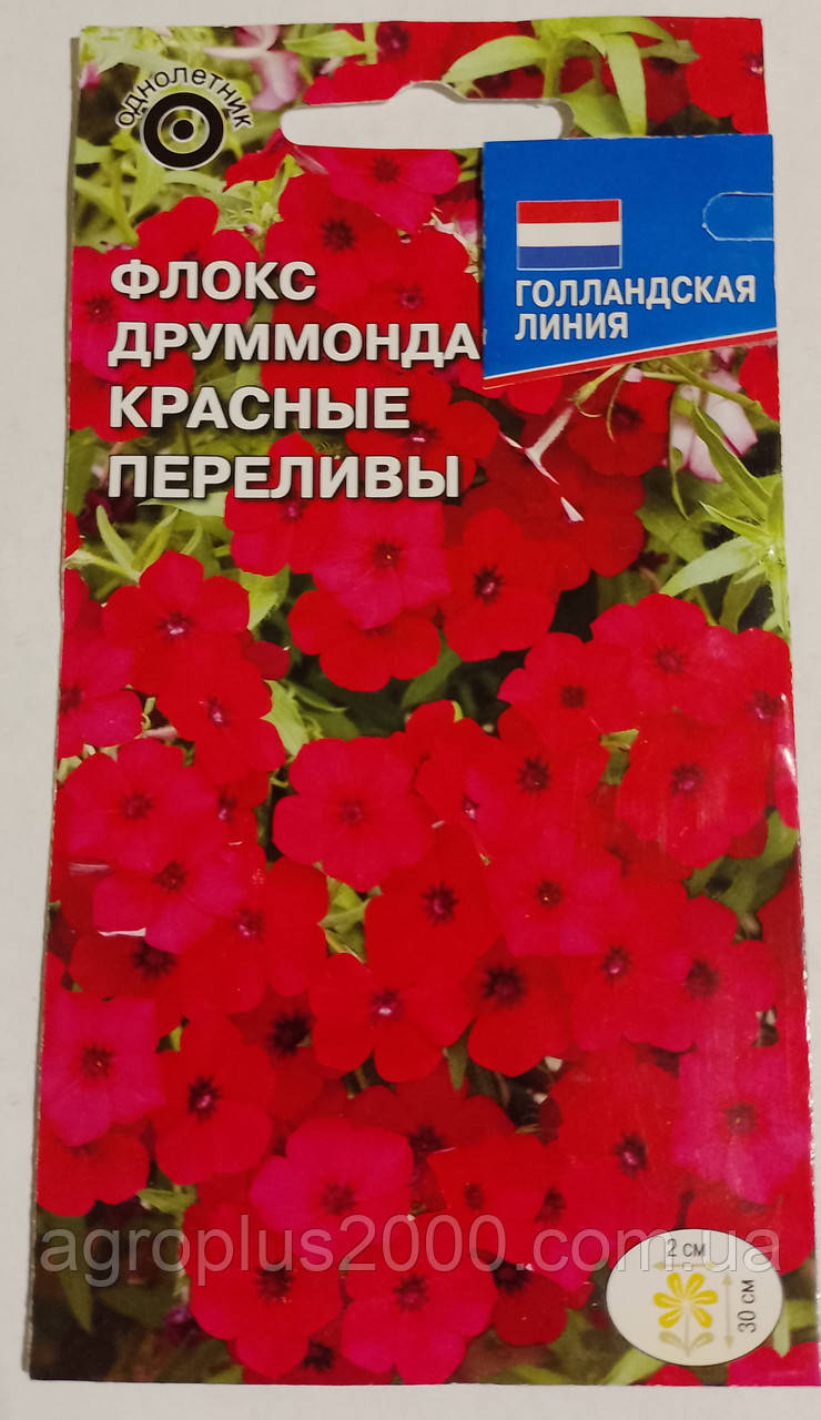 Насіння Флокс Друммонда низькорослий Червоні переливи 0,2 грама