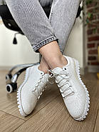 Кросівки жіночі Messimod H20Y3900-R312-WHITE шкіряні білі 36, фото 5