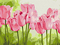 Картина по номерам "Нежные тюльпаны" 30x40 3v1 Рисование Живопись Раскраски (Цветы)