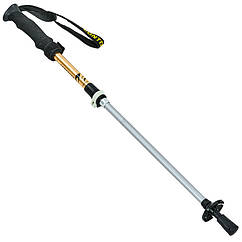 Палиця трекінгова для скандинавської ходьби з металевим тросом Zelart 0466-4 довжина 38-110 см Silver-Gold