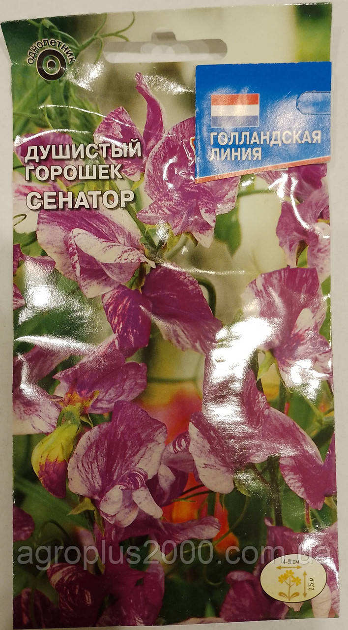 Насіння Запашний горошок Сенатор 0,5 грама