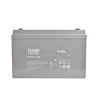 Тягова акумуляторна батарея GEL FIAMM general purpose 12V 100Ah (12FGL100)