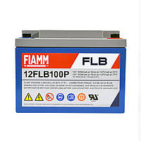 Тягова акумуляторна батарея AGM FIAMM high performance 12V 26Ah (12FLB100P)