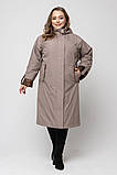 Жіночий весняний плащ великих розмірів M-1054 капучіно. розміри 52-68, фото 2