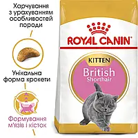 Корм для кошенят ROYAL CANIN KITTEN BRITISH SHORTHAIR 2 кг