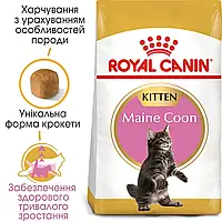 Корм для кошенят ROYAL CANIN MAINECOON KITTEN 4.0 кг