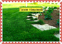Газонная трава теневая 1 кг | Теневой газон | Трава для газона | Семена газонных трав