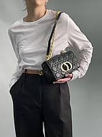 Женская сумка из кожи Christian Dior Small Dior Caro