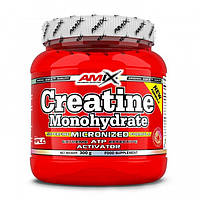 Креатин моногидрат Amix Nutrition Creatine Monohydrate 300 g /100 servings/ Unflavored