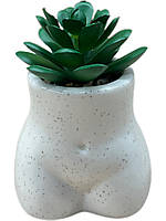 Горшок с искусственным растением в керамическом горшке тело женщины с декоративными камнями Pepco зеленый/беже