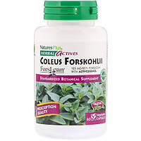 Экстракт для похудения Nature's Plus Herbal Actives Coleus Forskohlii 125 mg 60 Veg Caps NAP-07170