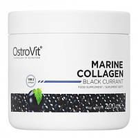 Хондропротектор для спорту OstroVit Marine Collagen 200 g/74 servings/Black Currant