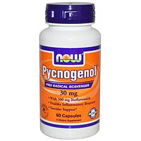 Пікногенол NOW Foods Pycnogenol 30 mg 60 Caps