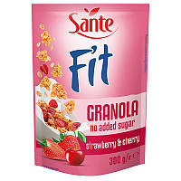 Гранола Go On Nutrition Granola Fit 300g Cherry and Strawberry (No Added Sugar)