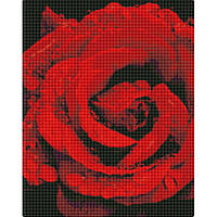 Toys Алмазна мозаїка "Роза в діамантах" AMO7501 40х50см