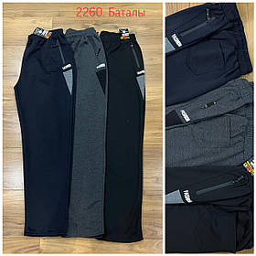 Чоловічі спортивні штани прямі №2260 р.3XL-7XL (52-60)