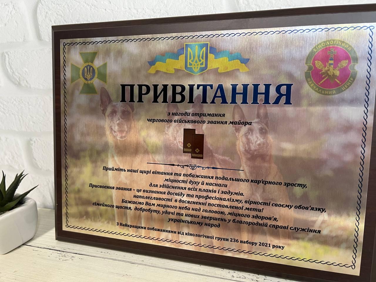 Подяка / Грамота / Димлом / Привітання / Нагорода "Про присвоєння звання" на металі А4