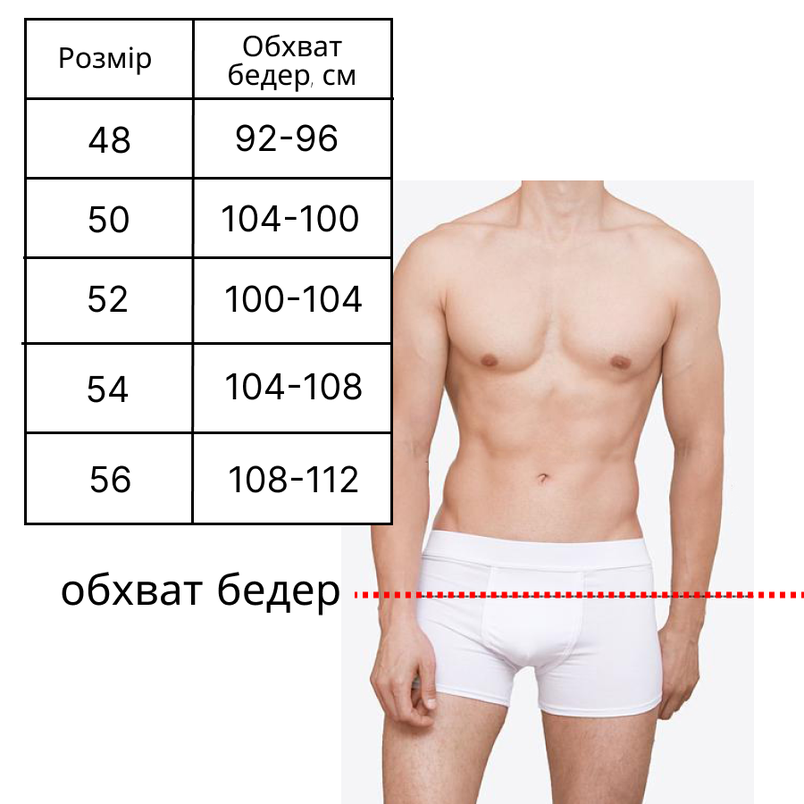 Чоловічі боксери для купання (арт. 14-281/1) чорний SPORT 48, фото 3