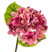 Цветок искусственный "Гортензия Papillon", фуксия, 60 см