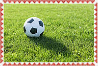 Спортивний газон 2 кг | Трава для футбольного поля