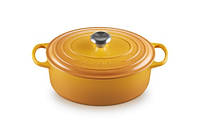 Кастрюля чугунная с крышкой Le Creuset Brytfanna 29 см 21178296724430