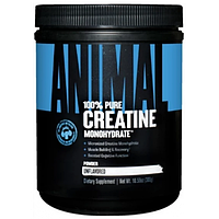 Universal Creatine Powder 300g