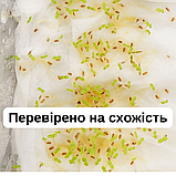 Павловнія комплект насіння 2 в 1, войлочна + гібрид Шан Тонг (ShanTong) (2500 + 1000 шт) морозостійка швидкоростуча набор, фото 3
