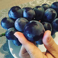 Виноград "Фуджімінорі" (ранній сорт)