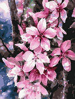 Картина за номерами квіти 40х50 Картини по цифрах на полотні Цвітіння мигдалю Розпис за номерами Rainbow Art GX44460