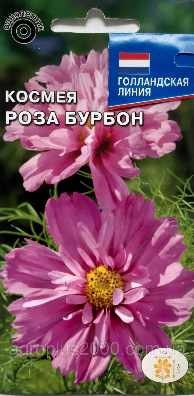 Насіння Космея двічі периста Троянда Бурбон 0,04 грама