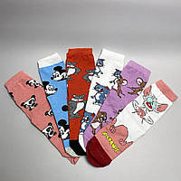 Носки подарунковий набір високих шкарпеток Герої мультфільмів 6 пар розмір 36-41 41-45 Art40340
