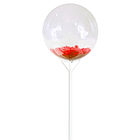 Воздушный шар БАБЛС прозрачный с красными перьями