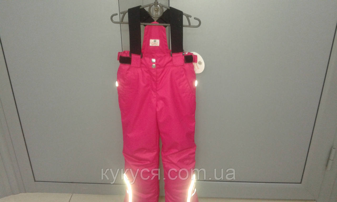 Дитячий зимовий напівкомбінезон (лижні штани з бретелями) - фото 1 - id-p50506158