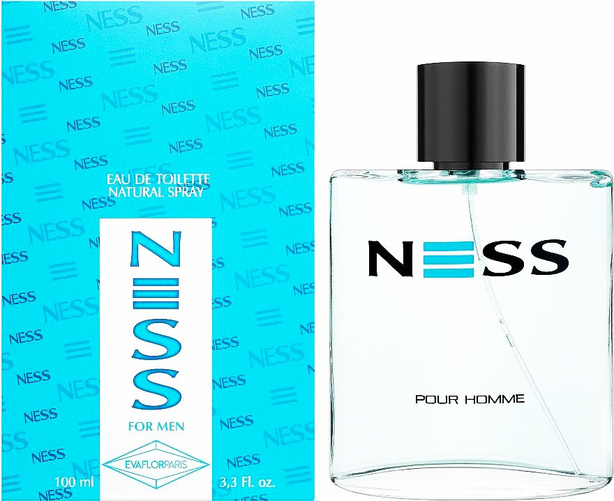 Туалетна вода чоловіча Evaflor Ness Pour Homme 100ml