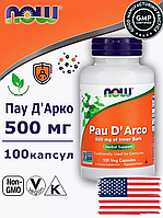 Кора мурашиного дерева, NOW Foods, Pau D' Arco, 500 мг, 250 рослинних капсул