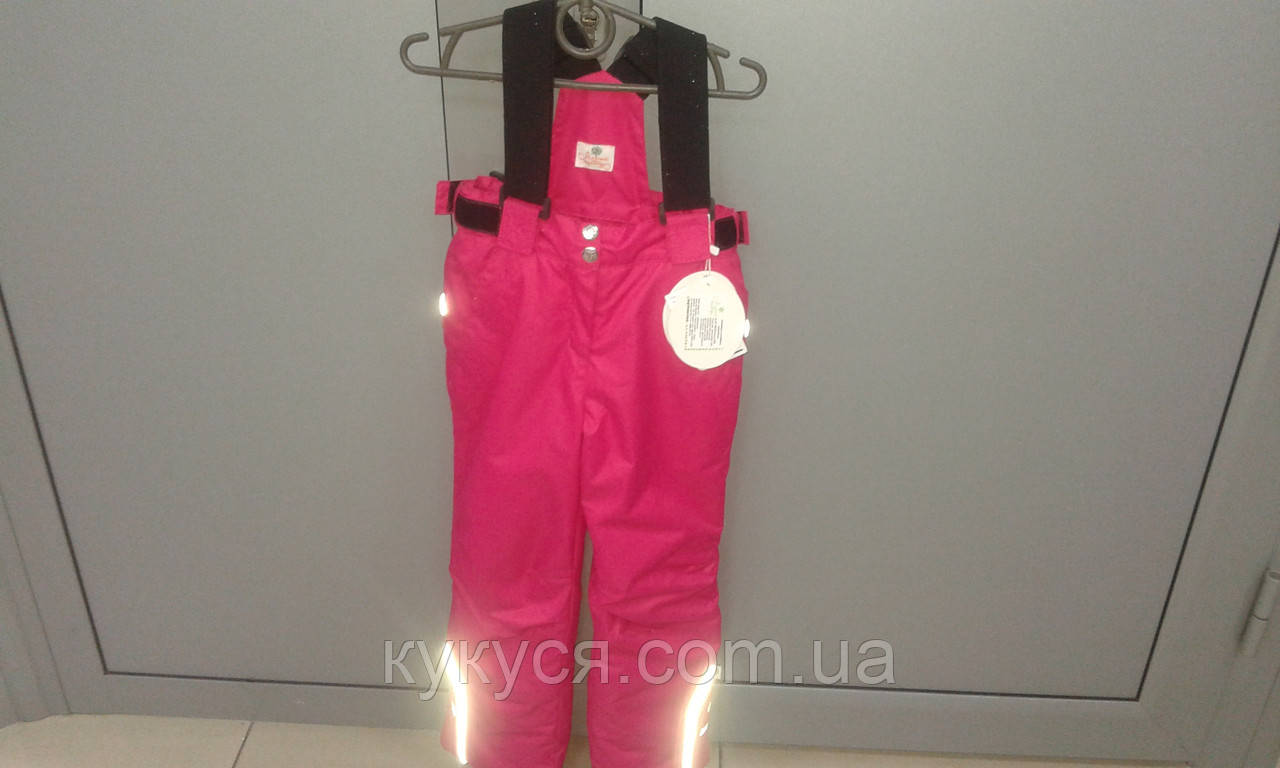 Дитячий зимовий напівкомбінезон (лижні штани з бретелями) - фото 5 - id-p50506158