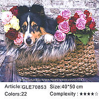 Картина для раскраски по номерам Алмазная GLE70853 (40 * 50 в коробке, Собака с цветами)