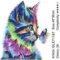 Картина для раскраски по номерам Алмазная GLE71187 (40 * 50 в коробке, цветной кот)