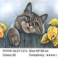 Картина для раскраски по номерам Алмазная GLE71274 (40 * 50 в коробке, кот)