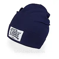 Демисезонная шапка для мальчика TuTu арт. 3-005791 (52-56) Синий