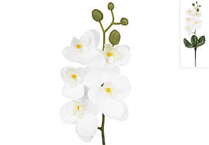 Орхідея латексна біла 36см   713040
