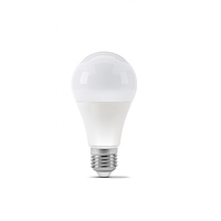 LED лампа A65 15W E27 4100K