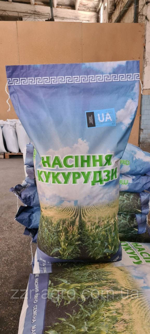 Насіння кукурудзи ГАЛАТЕЯ(ФАО 260)