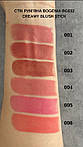 BG632 Рум'яна Bogenia Angelic Creamy Blush Stick, 005 Rose, фото 3