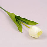 Квітка штучна, Тюльпан білий, H54 см, Штучні квіти, Дніпро, фото 2