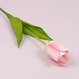 Квітка штучна, Тюльпан, бело-рожевий, H60 см, Штучні квіти, Дніпро, фото 2